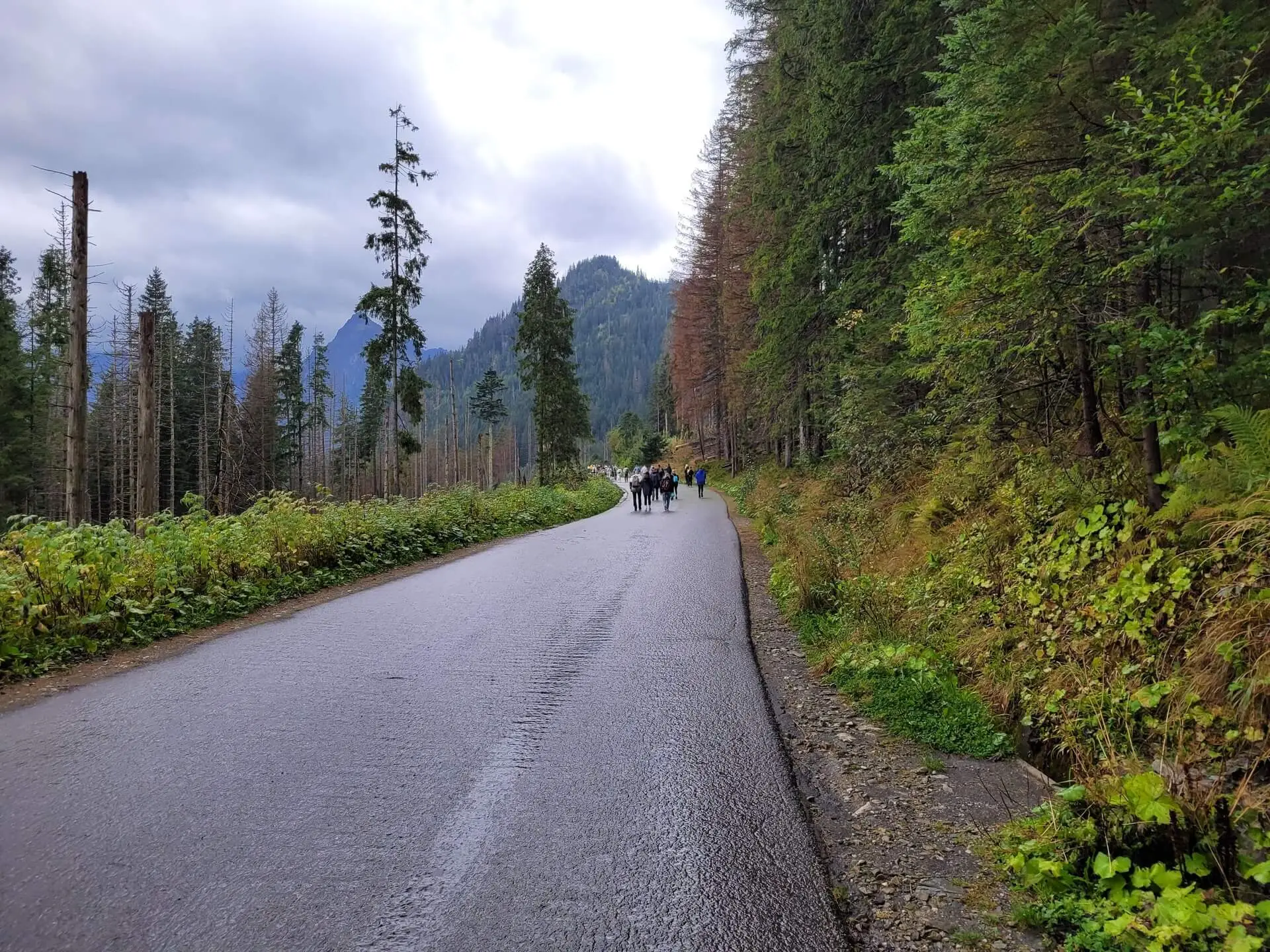 Morskie Oko - Czarny staw pod Rysami - wrzesień 2023